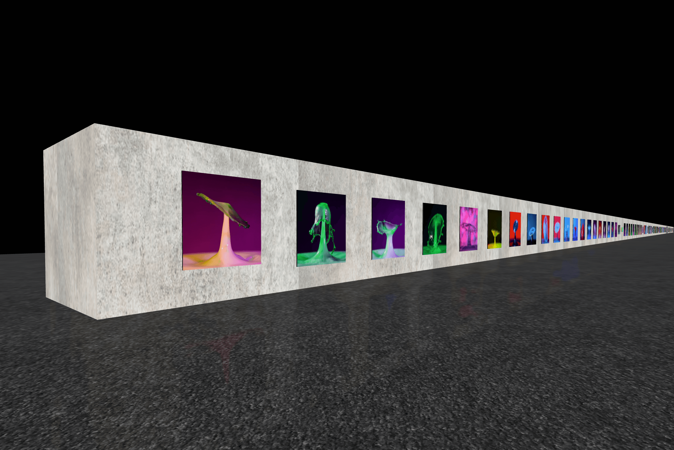 The Balded Photographer